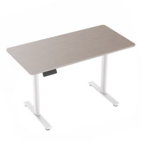 Bureau debout électrique à moteur unique, réglable en hauteur, ergonomique, mobilier de bureau moderne pour la maison, idéal pour le travail et l'étude