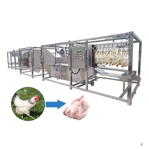 stainless steel automatic poultry chicken broiler slaughterhouse abattoir butcher slaughter processing gizzards peeler machine