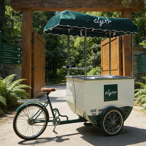 Carritos de Gelato Italianos con Ruedas, Carrito de Venta Ambulante de Helados Personalizado con Congelador - Product Image 5