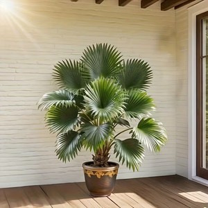 1 Grande Palma Artificiale con Foglie Verdi Folte, Albero Finto Realistico con Tronco e Vaso, Bassa Manutenzione, per Interni - Product Image 4
