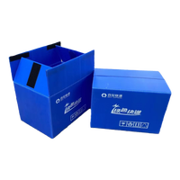Meilleur prix d'usine Coroplast PP Poly carton boîte réutilisable en plastique ondulé chiffre d'affaires bacs d'expédition avec fermeture à bande magique