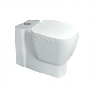 Inodoro Monobloque de Pared con Descarga Universal, 66 cm de Largo, 37 cm de Ancho, 44 cm de Alto - Product Image 3