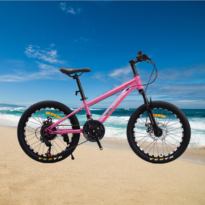 <span class=keywords><strong>Bicicleta</strong></span> de aleación de aluminio con 21 engranajes de velocidad <span class=keywords><strong>Bicicleta</strong></span> de <span class=keywords><strong>20</strong></span> pulgadas Llantas de <span class=keywords><strong>bicicleta</strong></span> de <span class=keywords><strong>20</strong></span> pulgadas - Product Image 4