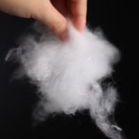 OEKO-TEX Standard Super Soft Premium Polyester Fiberfill, Sustainable DuPont Sorona Poly-fil Fiber for Pillow Sofa Garment