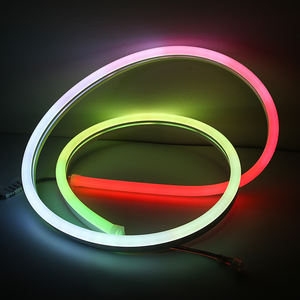 DC12V/24V PVC Neon Flex Tube <strong>Flexible</strong> <strong>LED</strong> Strip IP66 <strong>Waterproof</strong> Landscape Decoration Bendable <strong>Lights</strong> - Product Image 5