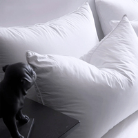 Oreiller de luxe personnalisé en duvet d'oie blanc, oreiller de couchage pour hôtel 5 étoiles