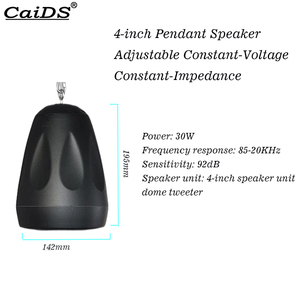 CaiDS 30W 70V/8Ω – Nouveau haut-parleur suspendu pour système de sonorisation (PA) à double usage, pour montage mural intérieur - Product Image 4