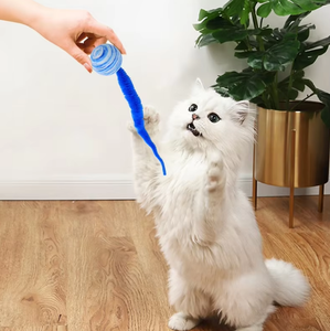 Mainan gerakan interaktif hewan peliharaan kebosanan mainan kucing hiburan diri baru bola pelangi gaya Linen ramah lingkungan Modern - Product Image 3