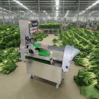 Industriële 2-kops groente-snijmachine voor bladgroenten, wortelgroenten, in plakjes, chips, schijfjes, blokjes, 1000 kg/uur, multifunctioneel, veelzijdig