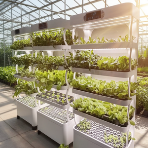 เครื่องปลูกผักอัตโนมัติ ระบบให้น้ำหยดอัจฉริยะ พร้อมส่วนประกอบหลัก PLC สำหรับการปลูกพืชไร้ดินในร่ม - Product Image 1