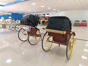 Carrito Turístico Clásico Vintage Tipo Rickshaw de Gran Capacidad con Batería, para Transporte de Huéspedes de Hotel - Product Image 4