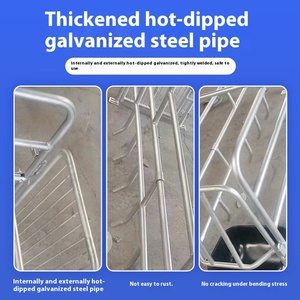 Yeni MUFA modeli 001 tipi sıcak galvanizli çelik Sow gebelik kafes domuz çiftlik Sow farfarverimli ayırma için 1 yıl garanti - Product Image 3