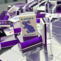 160 Pièces de Mahjong Américain en Acrylique Sculpté en Forme de Lapin Violet Luxueux, Idéal pour les Cadeaux de Jeux de Société Familiaux