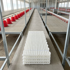 Pavimento in Plastica a Doghe per Polli, Anatre e Oche, Alta Capacità di Carico, per <span class=keywords><strong>Allevamenti</strong></span> - Product Image 2