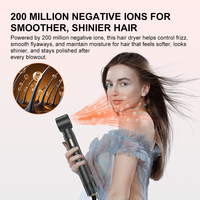 Vente en Gros Professionnel 6 en 1 Séche Cheveux Brosse Plasma Lisseur Bigoudi Séchage Rapide Voyage