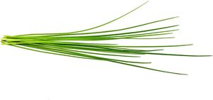 Click Grow Modern Minimalist Smart Garden cipollina baccelli per piante decorazioni per <span class=keywords><strong>la</strong></span> casa da appendere in bambù per lo Shopping all'aperto - Product Image 6