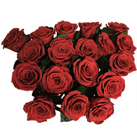 Kotak Bunga Awet Alami Cantik Flora Musim Panas Grosir Jenis Aplikasi Mawar Awet - Hari Valentine Grade 2 Tahun