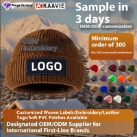 Gorro de lana de invierno transfronterizo con bordado 3D, personalizable de fábrica, ligero, resistente al desgaste, cálido, transpirable, unisex, de punto para exteriores.