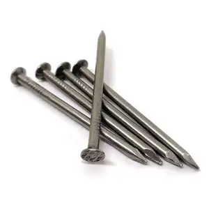 Turkey palestine israel market Iron wire nails 2.8mm diameter 60mm 5kg box common wood nail china factory q195 nail wire