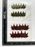 100 buah/pak daun Maple asin Momiji untuk dekorasi makanan Sushi.