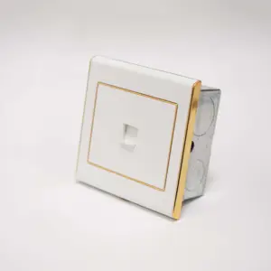 F70 Range 1 Gang Computer Socket White Color Golden Electroplated Ring Plastic Plate 86 Plate