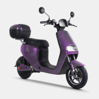 SIGOTECH Nouveau style de vélo électrique pas cher, 25 km/h, cyclomoteur électrique pour adultes, Europe, 500 W, longue portée, vélo électrique de ville