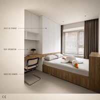 Plateforme de lit Tatami sur mesure avec rangement intégré, système de chambre à coucher en bois convertible, design moderne pour salle de bain, appartement, villa, 5+ tiroirs