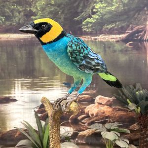 Afrika kuşları-sergi için özelleştirilmiş Animatronic safran-crowned tanbird kuş - Product Image 1