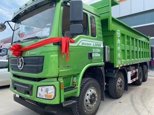 Camión Volquete Shacman 6x4, 10 Neumáticos, Capacidad de 31-40T, Diésel, Camión de Transporte Pesado para Ingeniería, Dirección Izquierda, Transmisión Manual - Product Image 6