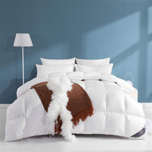 Autunno Queen Size Hotel casa biancheria da letto morbida e confortevole trapunta da letto <span class=keywords><strong>matrimoniale</strong></span> inverno piumino e piumino per Hotel a casa - Product Image 2