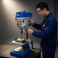 Machine de perçage et de taraudage certifiée CE WDDM, petite perceuse à colonne pour atelier de métallurgie, machine de perçage de métaux