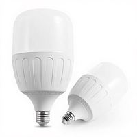 Bombillas LED A19 E26/E27 B22 T60 T70 T80 T100 T115 en Forma de T para Uso en Almacenes, Gran Venta