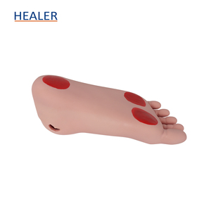 Modèle anatomique de squelette humain pour l'ulcération du pied diabétique pour démontrer les lésions et la douleur du pied dans les écoles - Product Image 6