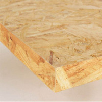 Panneaux OSB de style moderne 6 mm 12 mm 18 mm 21 mm 25 mm