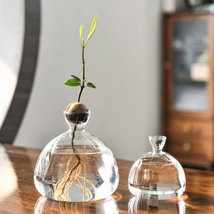 Tondo <span class=keywords><strong>in</strong></span> vetro trasparente da tavolo <span class=keywords><strong>di</strong></span> Avocado seme <span class=keywords><strong>di</strong></span> avviamento piantatrice idroponica pianta decorazione per la casa <span class=keywords><strong>vaso</strong></span> <span class=keywords><strong>di</strong></span> propagazione <span class=keywords><strong>vaso</strong></span> per la casa - Product Image 3