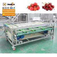 Lonkia Fruitgroente Sorteermachine Kers, Cherrytomaatjes Sorteermachine Dadelsorteermachine