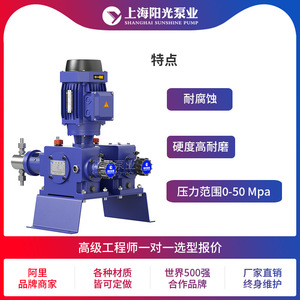 ปั๊มสูบจ่ายสารเคมีแบบลูกสูบ รุ่น DZ-X2 ยี่ห้อ Shanghai Sunshine Pump Industry ผลิตจากสแตนเลส 316 ทนแรงดันสูง แบบหัวคู่ รุ่น 45038 - Product Image 5