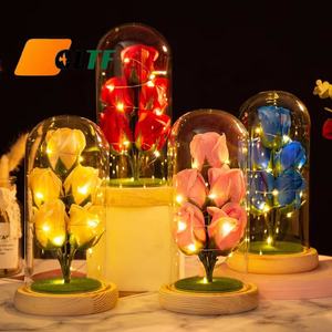 2025, regalo del Día <span class=keywords><strong>de</strong></span> San Valentín <span class=keywords><strong>de</strong></span> la madre para niñas y mujeres, jabón <span class=keywords><strong>de</strong></span> galaxia eterna, flor <span class=keywords><strong>de</strong></span> Rosa en cúpula <span class=keywords><strong>de</strong></span> cristal con luz LED - Product Image 1
