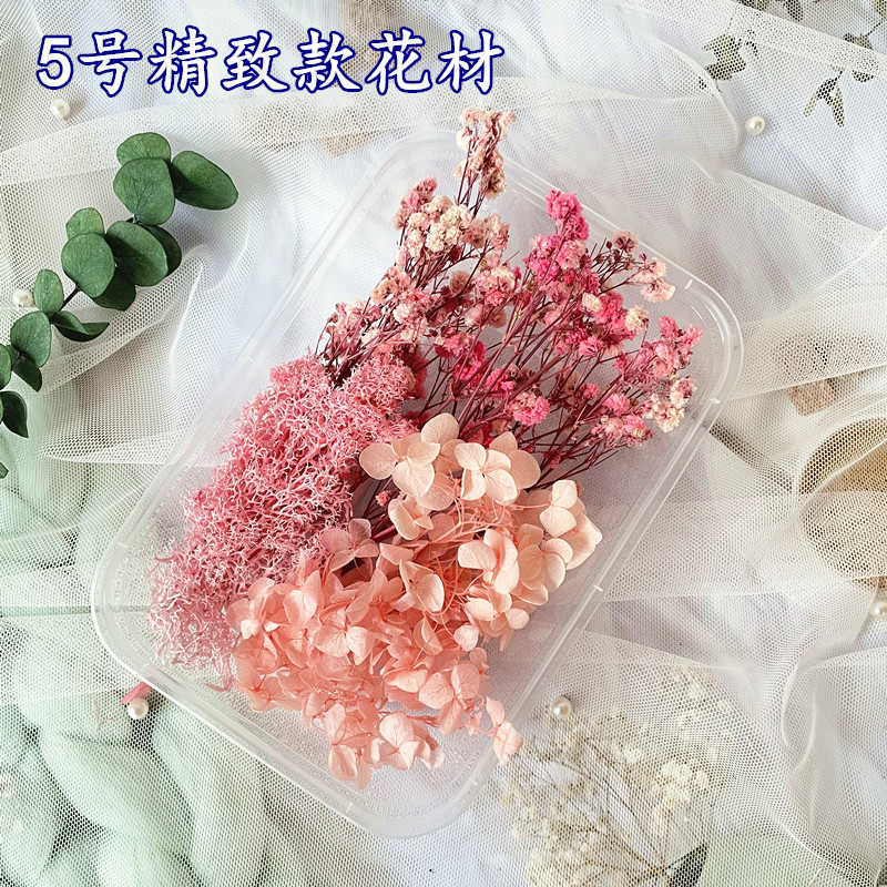No. 5 premium preserved flower material 1 box