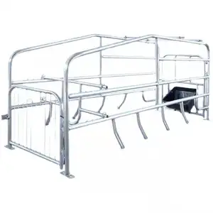 Pig Farming Equipment Cage Location Bar For Pregnant Sow Gestation Stall