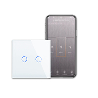 Accueil Interrupteurs muraux à commande vocale Interrupteur tactile 2 groupes Interrupteur tactile intelligent Google Tuya Prise murale