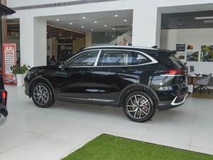 Repuestos Globales Completos para Great Wall New Energy, Plataforma DHT, Transmisión Automática, SUV, Bajo Costo de Operación Diaria - Product Image 3