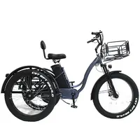 Electric Cargo E Bike for Adult, Tricycle, 250 W, 36V