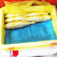 Absorbeurs de trempage de qualité alimentaire, taille personnalisée, fruits de mer, poisson, plateaux à viande, coussinets de Gel absorbants dans l'eau de poulet
