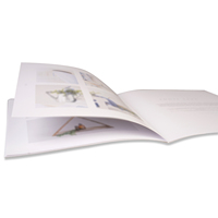Bon prix de livret de papier publicitaire publicitaire promotionnel Dl impression de livret Popup A6 emballage de dépliant