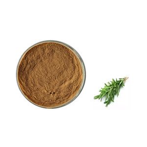 Extracto de Romero antioxidante de alta calidad, precio de ácido rosmarínico, ácido rosmarínico - Product Image 1
