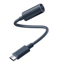 Cable de Extensión USB C a DC Starlink Mini de 18CM, Adaptador Convertidor de Energía a Prueba de Agua, Compatible con Banco de Energía/Cargador de 65W