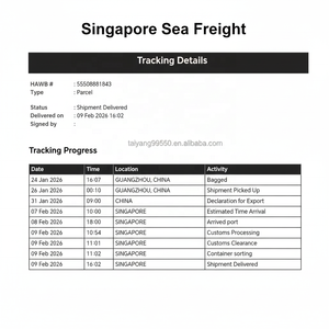 De China a Singapur: Expertos en Logística de Carga Aérea y Marítima - Product Image 3