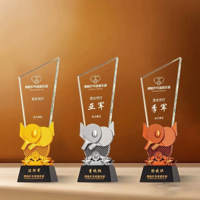 Trofeo de Cristal Pulido Ecológico OEM con Diseño Personalizado para Campeonato