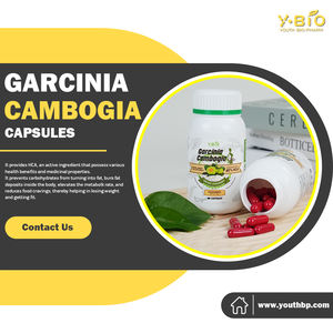 Produits phares : Capsules de Garcinia Cambogia pour la combustion des graisses, pour les personnes souhaitant maigrir, les régimes hypocaloriques, livraison rapide, végétalien, HALA - Product Image 3